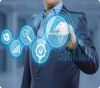 Pursuit of High-Growth Opportunities